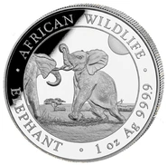 2024 Ασημένιο νόμισμα  Somalian Elephant μίας ουγγιάς