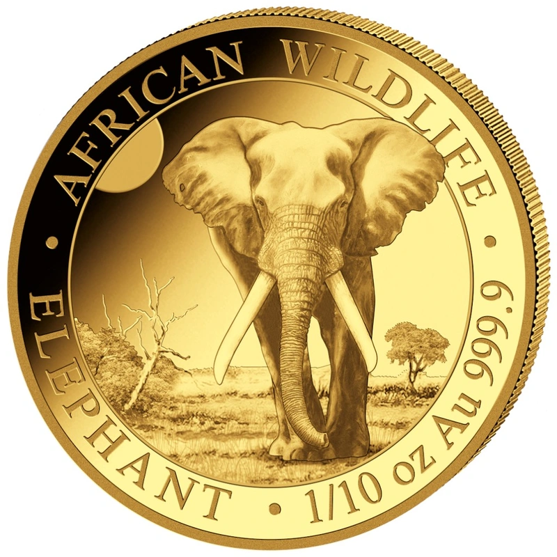 2025 Χρυσό νόμισμα  Somalian Elephant 1/10 της ουγγιάς