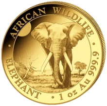 2025 Χρυσό νόμισμα Somalian Elephant μίας ουγγιάς