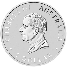 2024 Ασήμενιο Νόμισμα Australian Swan - 1 ουγγιά