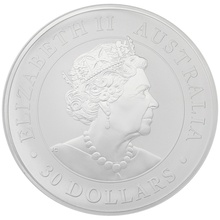 Ασημένιο Νόμισμα - Αυστραλιανό Κοάλα 2020 - 1 κιλό