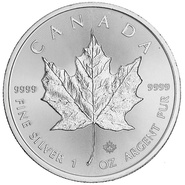 Ασημένιο Νόμισμα του Καναδά - 2019