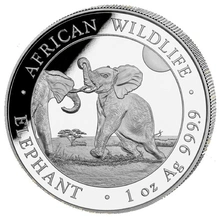 2024 Ασημένιο νόμισμα  Somalian Elephant μίας ουγγιάς