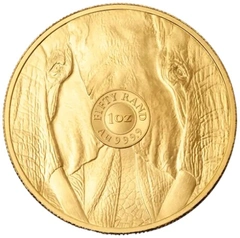 2026 Χρυσό Νόμισμα Elephant Big Five Series 1 ουγγιά