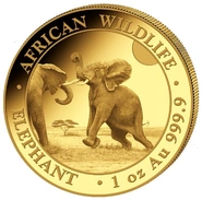 2024 Χρυσό νόμισμα Somalian Elephant μίας ουγγιάς
