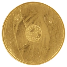 2024 Χρυσό Νόμισμα Elephant - Big Five Series - 1 ουγγιά