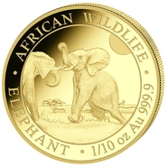 2024 Χρυσό νόμισμα  Somalian Elephant 1/10 της ουγγιάς