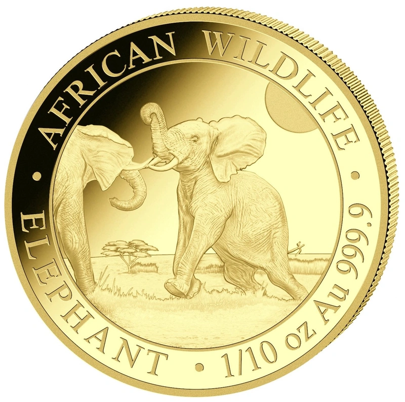 2024 Χρυσό νόμισμα  Somalian Elephant 1/10 της ουγγιάς